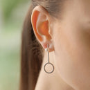 Newbridge Drop Earrings Clear Stone ER1162