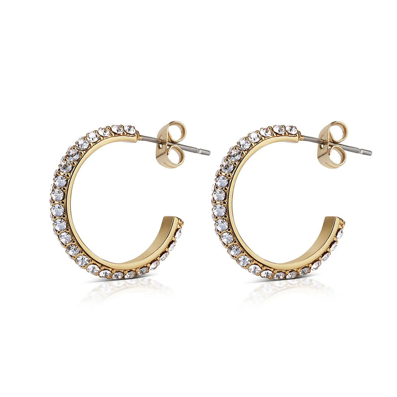 Newbridge Hoop Earrings Golden Stones ER8823