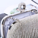 Lizi Crystal Fringe Clutch Bag