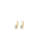 Absolute Clear Flower Drop Earrings - Gold E2273GL