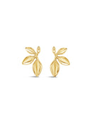 Absolute Statement Earrings E2341gl Gold