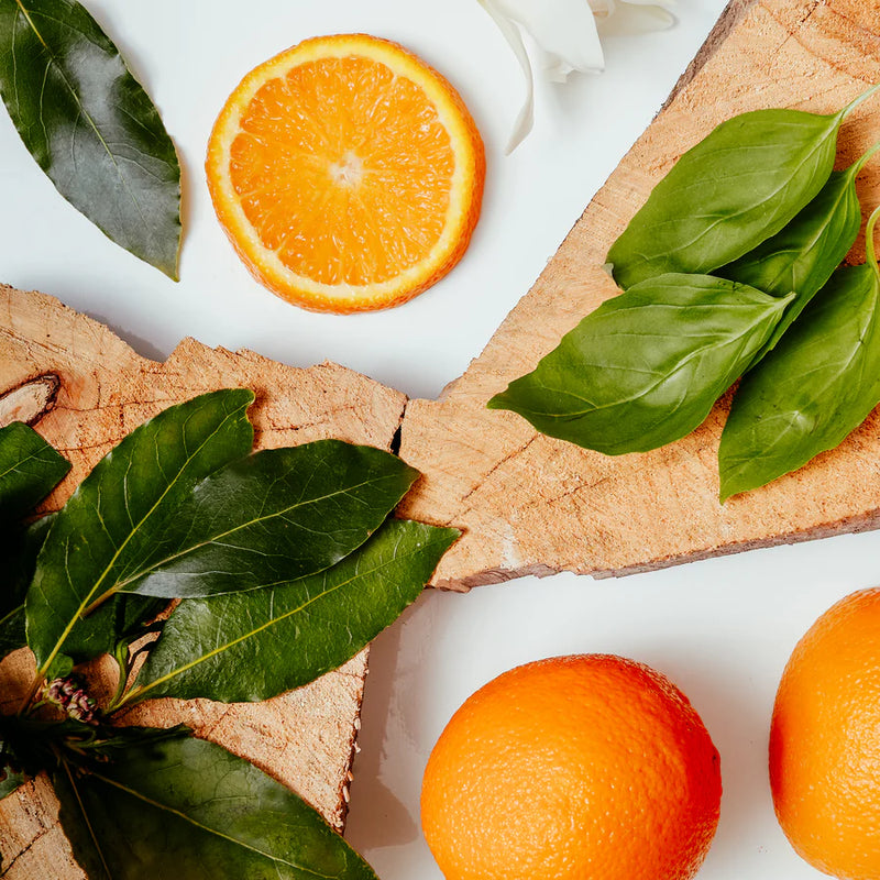 Brooke & Shoals Candle - Sweet Basil Bay & Neroli