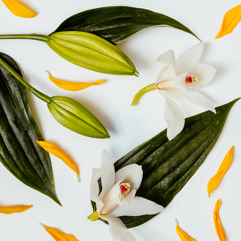 Brooke & Shoals Diffuser White Lily & Ylang Ylang