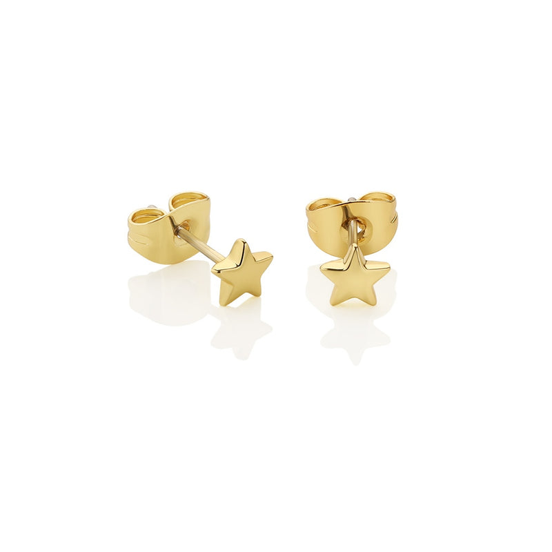 Newbridge Star Stud Earrings E018