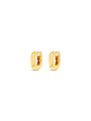 Absolute Thick Hoop Earrings - E2391GL Gold