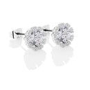 Newbridge Flower Clear Stone Earrings ER1831C