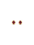 Absolute Siam Earrings E2469SI