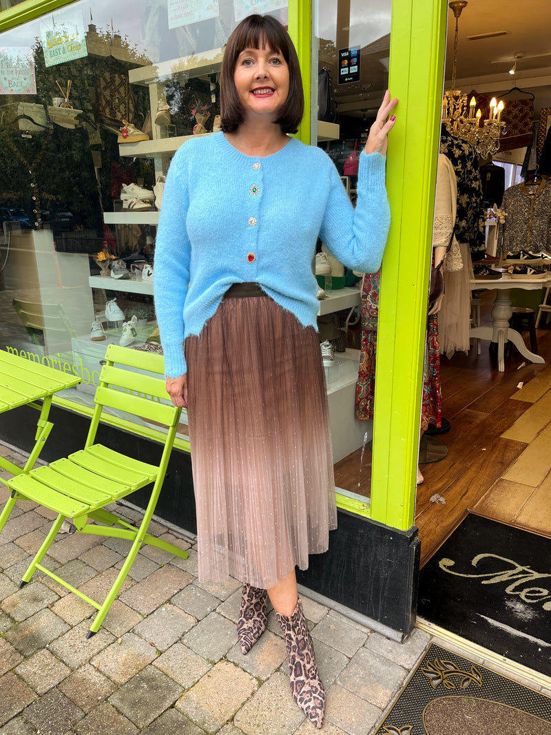 Roz Ombre Skirt - Brown