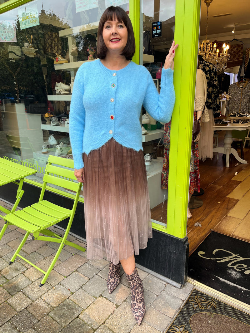 Roz Ombre Skirt - Brown