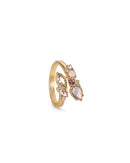 Newbridge Ring with Mixed Stones R8821