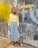 Lucia Tulle Skirt - Blue with heart dots