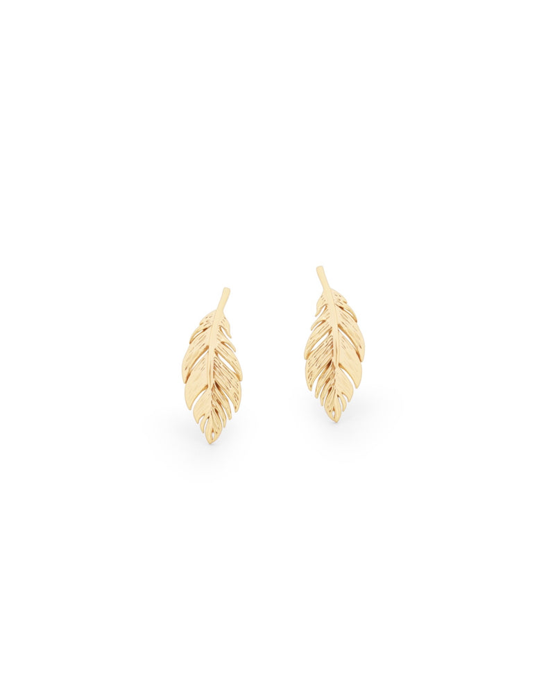 Tipperary Feather Earrings Gold 158818