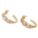 Newbridge Hoop Earrings with Mixed Stone ER8810