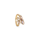 Newbridge Ring with Mixed Stones R8821